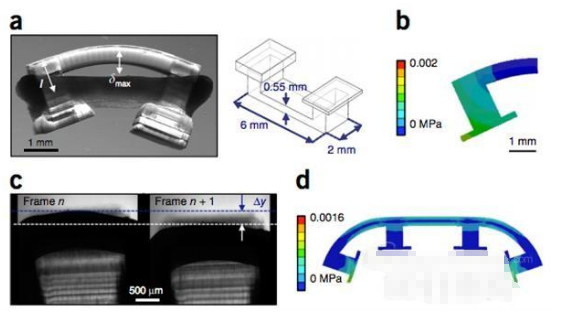 伊利諾伊大學(xué)分享3D打印生物機器人制作指南