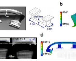 伊利諾伊大學分享3D打印生物機器人制作指南