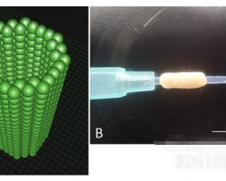 日本研發(fā)出可促進神經(jīng)再生的生物3D打印導(dǎo)管