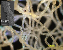 研究人員開發(fā)出用于生物醫(yī)學(xué)、軟機器人的3D打印硅膠技術(shù)